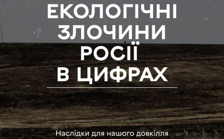  Як українці рятують природу під час війни і як долучитися?